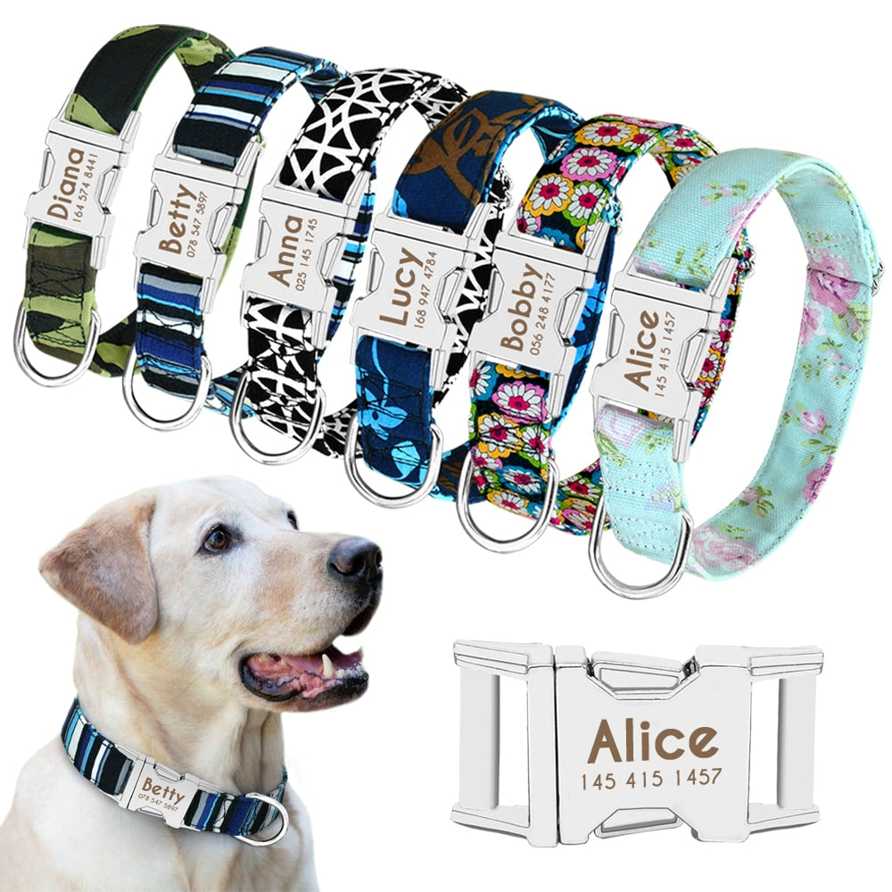 Dog Collar with Personalized Slide-On Nameplate